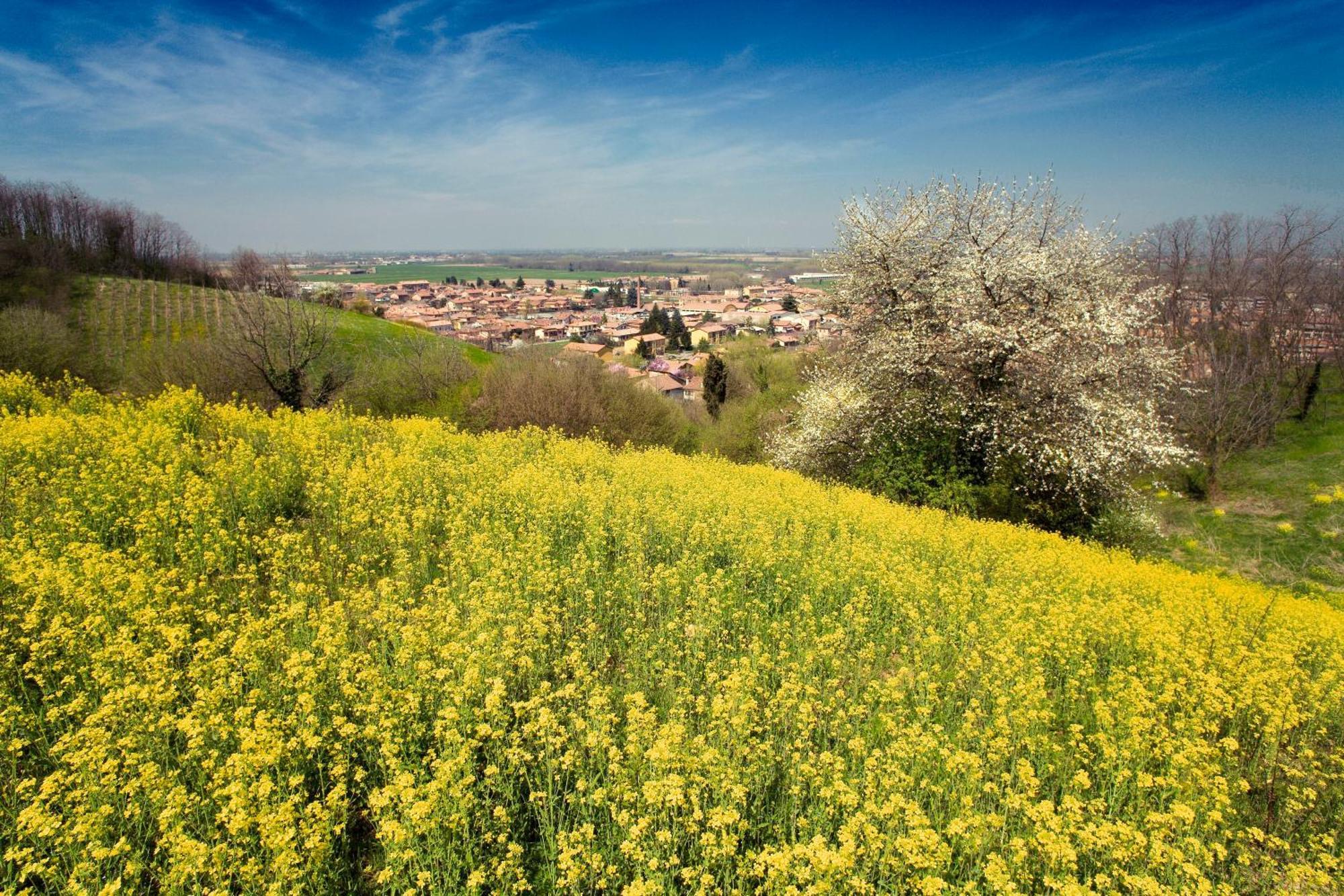 San Colombano al Lambro Bed & Breakfast Sforza 19 المظهر الخارجي الصورة