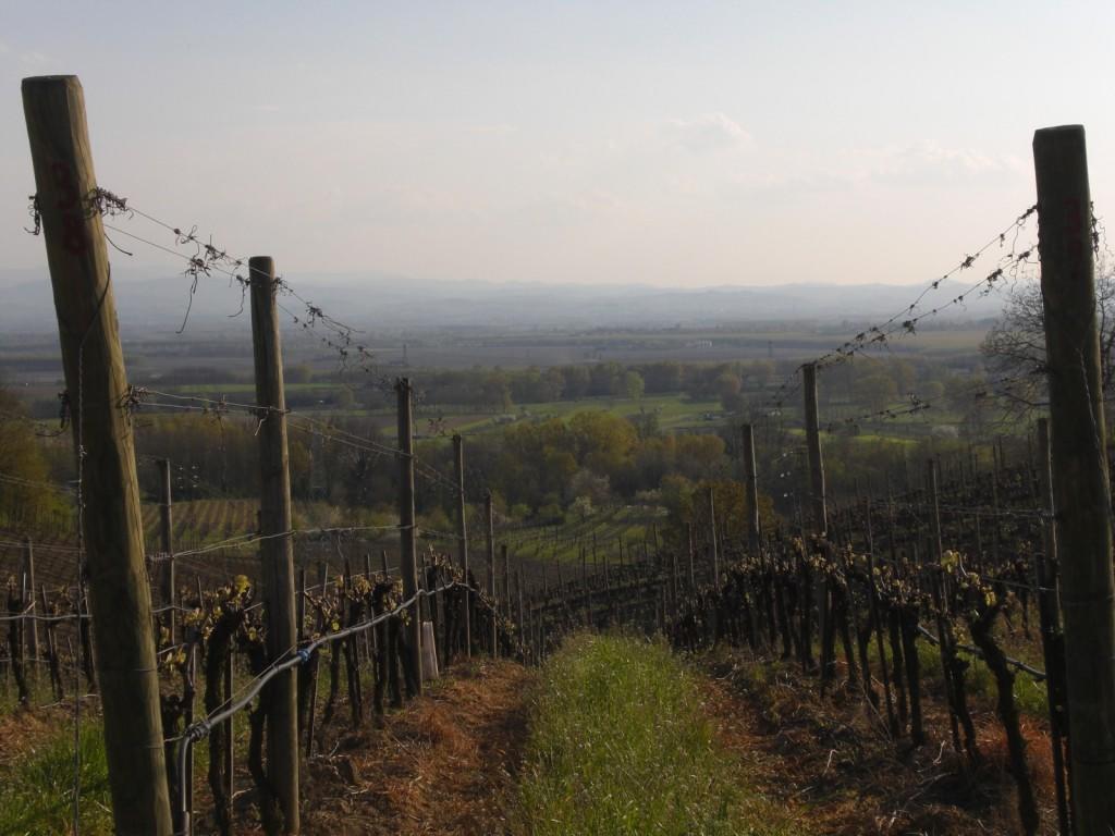 San Colombano al Lambro Bed & Breakfast Sforza 19 المظهر الخارجي الصورة